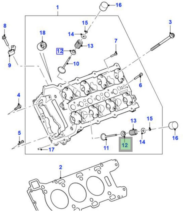 Data LR078819 TD.jpg